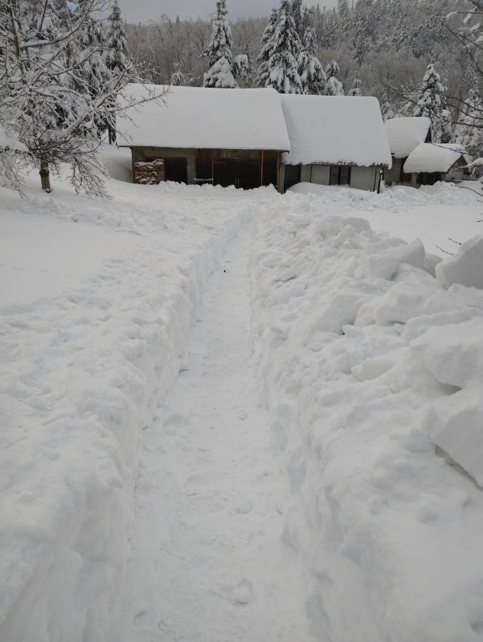 Gruzdovo
