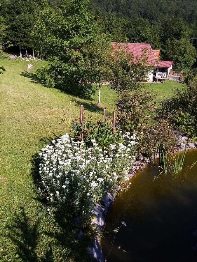 Apartment Gruzdovo *