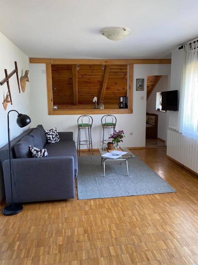 Apartment Gruzdovo Delnice