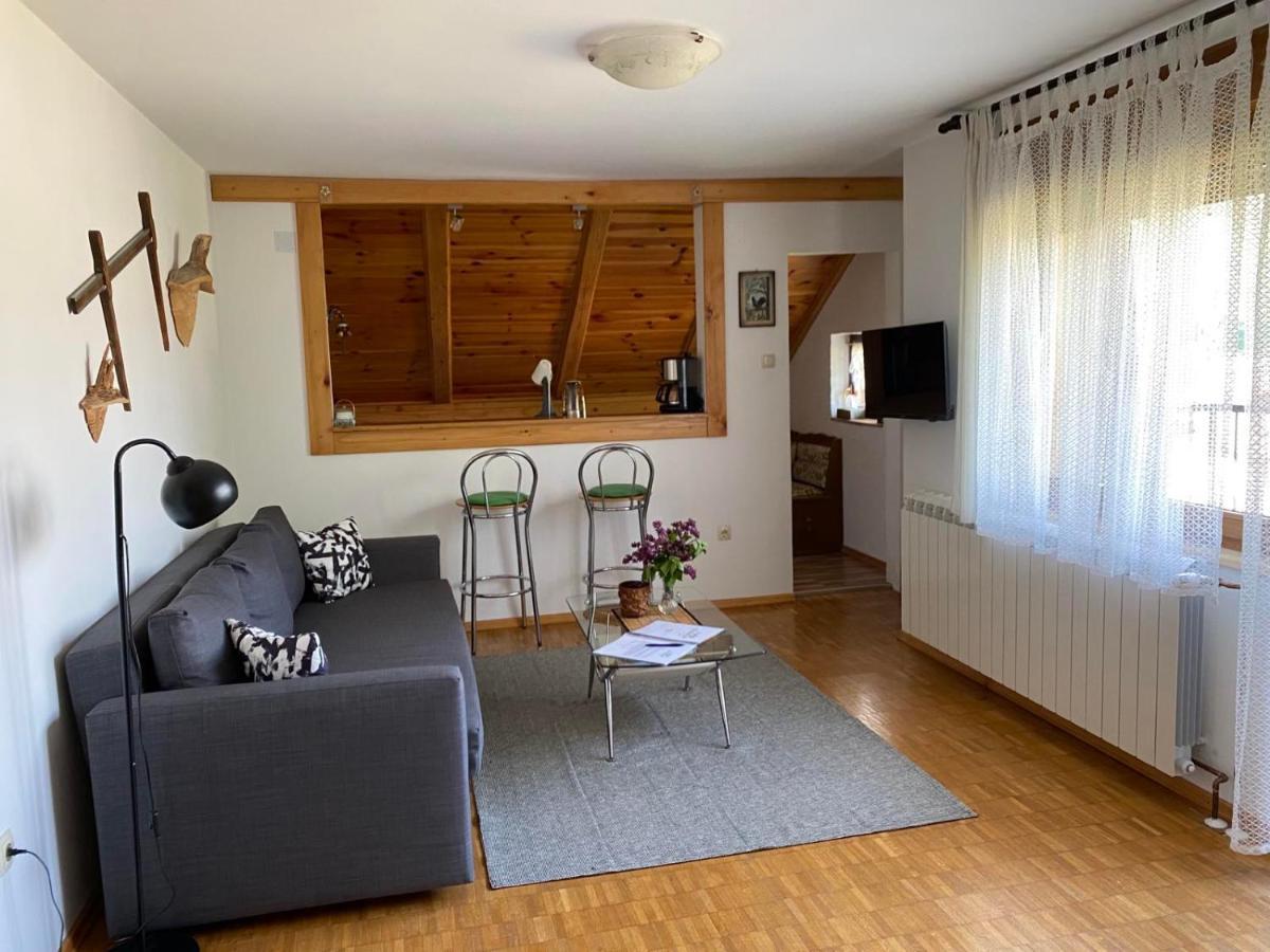 Gruzdovo Apartment Delnice