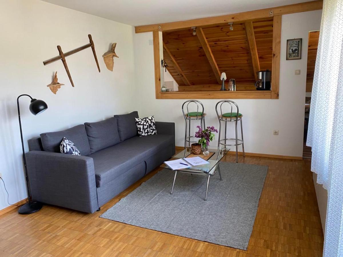Apartment Gruzdovo Delnice