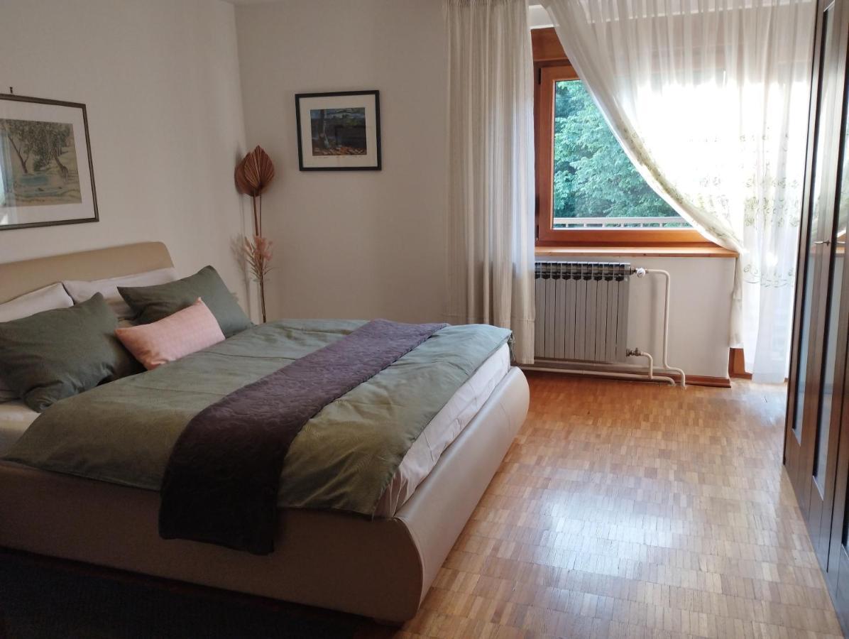 Gruzdovo Apartment