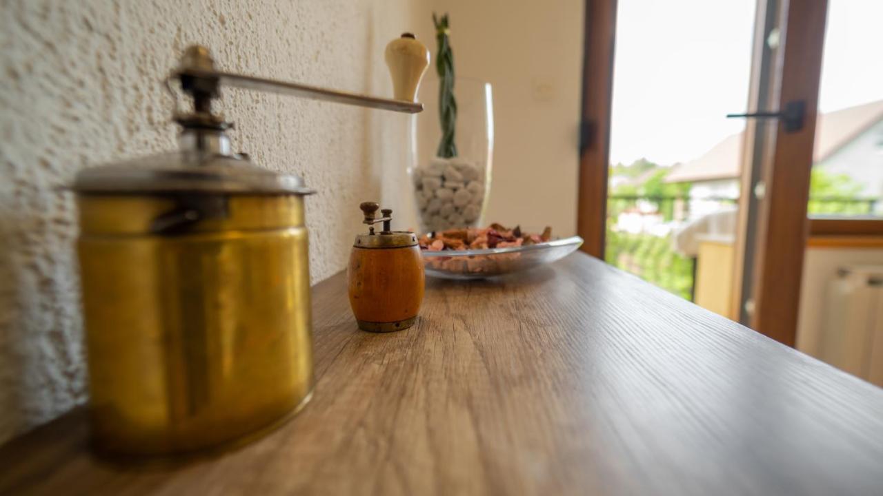 Gruzdovo Apartment Delnice